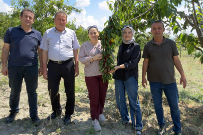 DAĞDER’den kiraz üreticilerine destek