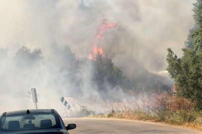 İznik'te yangın paniği
