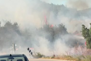 İznik'te yangın paniği
