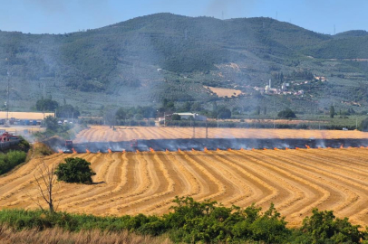 Gemlik Serbest Bölge yakınında korkutan yangın