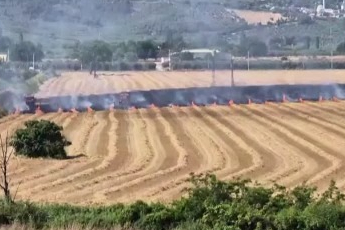 Gemlik Serbest Bölge yakınında korkutan yangın