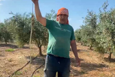 Çektirdiği videonun cezası ağır oldu