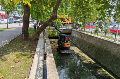 Gemlik Çarşı Deresi'nde temizlik çalışmaları başladı