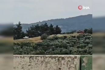 Mudanya'daki yangın kontrol altına alındı