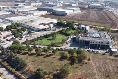 Zeytinyağlı çikolata Avrupa yolunda