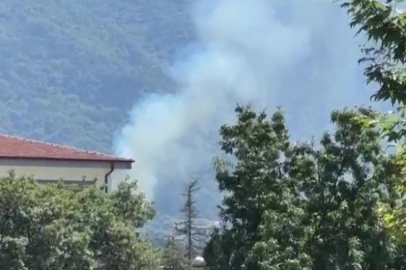 Kestel'deki orman yangını söndürüldü