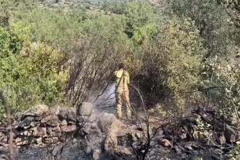 Makilik alanda korkutan yangın