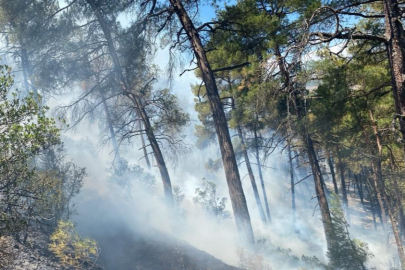 Bursa'daki orman yangını söndürüldü