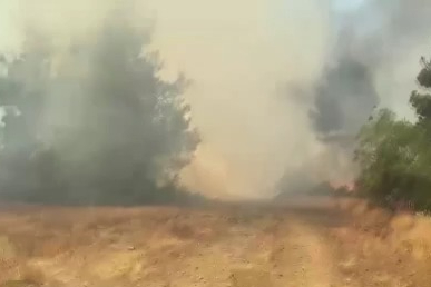 Bursa'daki orman yangını söndürüldü