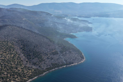 Yeşille maviyi orman yangını ayırdı