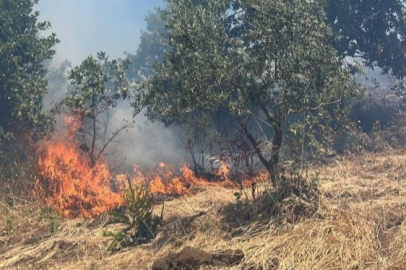 Bursa'da alevler, ormana sıçramadan söndürüldü