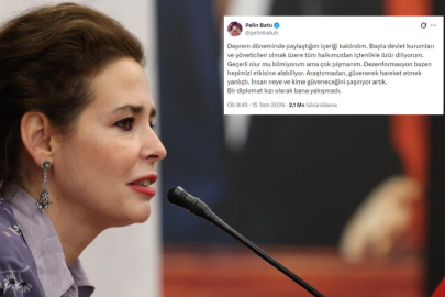 "Devlet yoktu" diye paylaşım yapan Pelin Batu özür diledi