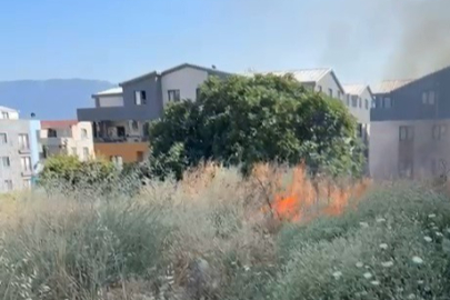 Bursa'da otluk alanda çıkan yangın söndürüldü