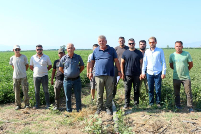 Manyas Gölü'nden gelen ilaçlı su sorununa çözüm bekleniyor