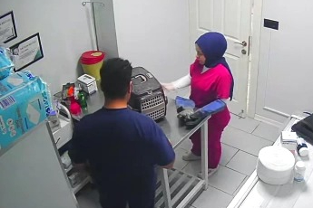 Bursa'da kısırlaştırılmak istenen kedi deprem etkisi yaptı