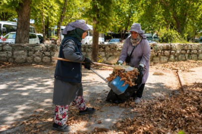 Park Bahçeler Müdürlüğü'nden Karacabey'de yoğun mesai