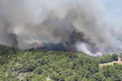 Bakan Yumaklı: Yangınlar tamamen kontrol altına alındı
