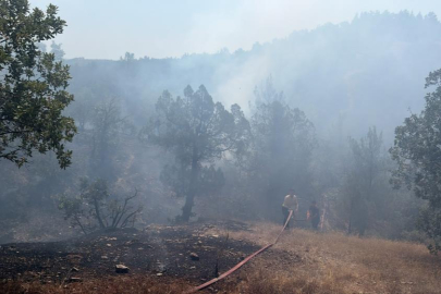 Bursa'da orman yangınına havadan ve karadan müdahale