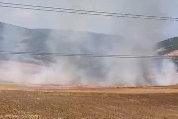 Bursa'da tarlalık alanı ateşe veren şüpheli yakalandı