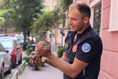 Yağmur suyu giderine sıkışan kediyi itfaiye kurtardı