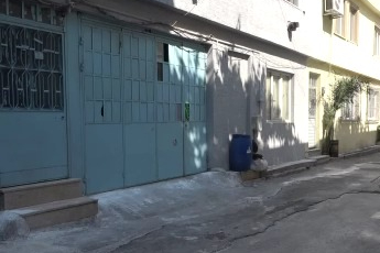 Bursa'da hayvanlara şiddet iddiası