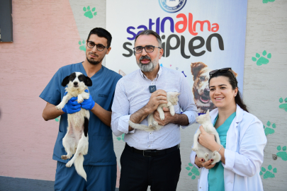 Kestel ile sahiplenme artık çok daha kolay