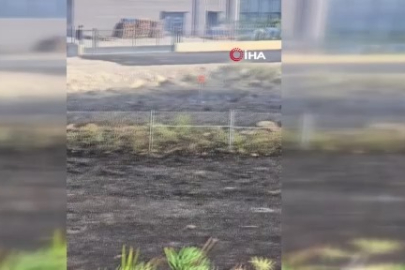 Otoban kenarında çıkan yangın söndürüldü