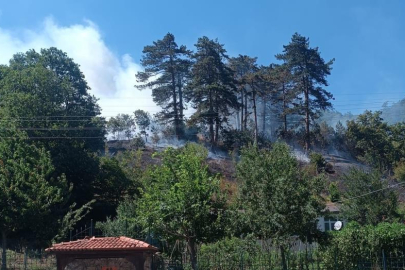 Sinop'taki orman yangınıyla ilgili 1 kişi tutuklandı