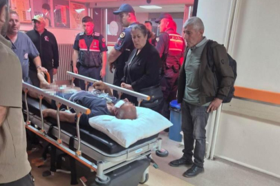 Ayının saldırdığı çobanı köpekleri kurtardı