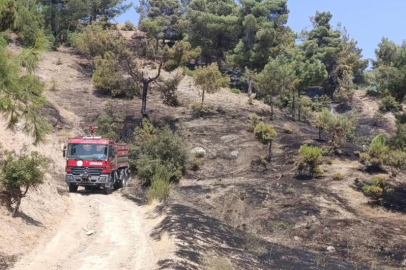 Kahramanmaraş’taki orman yangını kontrol altına alındı