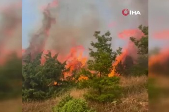 Kosova’da orman yangını alarmı: 7 saat sonra söndürüldü