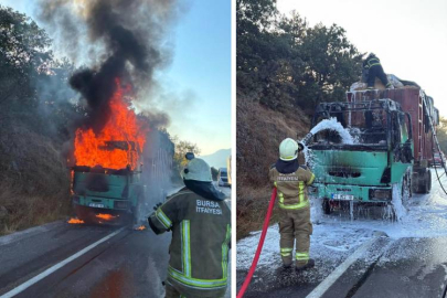 Bursa'da talaş yüklü TIR alevlere teslim oldu