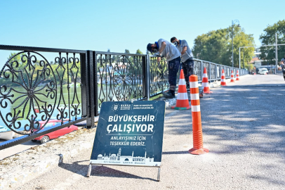 Büyükşehir'den Gölyazı'da kapsamlı bakım çalışması