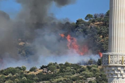 Gebze'de orman yangını