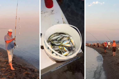 Karacabey sahillerinde istavrit bereketi