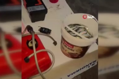 Karacabey sahillerinde istavrit bereketi