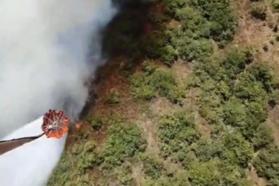 Bursa'da bir orman yangını daha