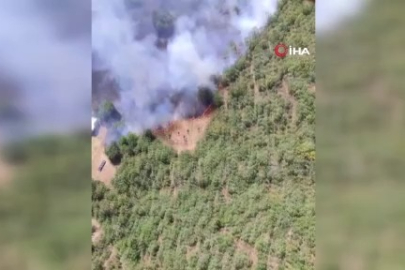 Bursa'da bir orman yangını daha