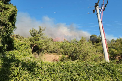 Bursa'daki alevlere havadan müdahale güçlendirildi