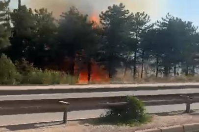 Uludağ'ın etekleri yanıyor