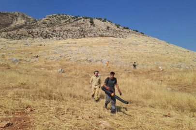 Diyarbakır'da yaklaşık 400 dönüm alanı küle çeviren yangın kontrol altına alındı