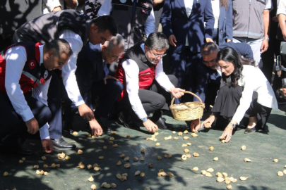 Bakan Yumaklı incir hasadına katıldı