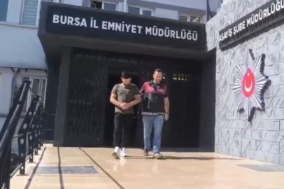 Bursa'da inşaat farelerini işte böyle çözdüler