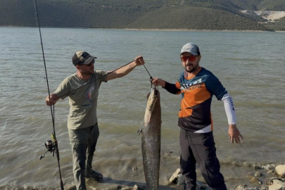 Bursa'da yakaladıkları dev balıkla poz verdiler