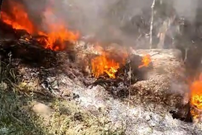 Bursa'da facia vatandaşlar tarafından önlendi