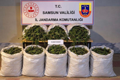 Bafra’da 63 kilo kubar esrar ele geçirildi