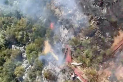 Antalya'da ormanlık alanda yangın