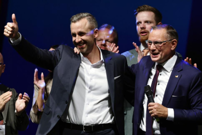 Almanya'da seçimin galibi AfD