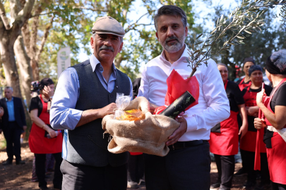 Bursa'nın zeytin mirası Gemlik ve Orhangazi'de yaşatılıyor