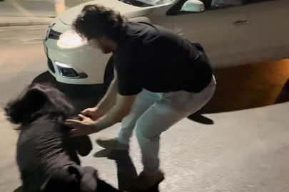 Bursa'da ters yola girip gazeteci ve polislere hakaret eden şahıslar adliyeye sevk edildi